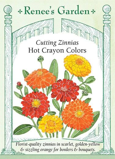 Renee's Garden Cutting Zinnias Hot Crayon Colors Seeds