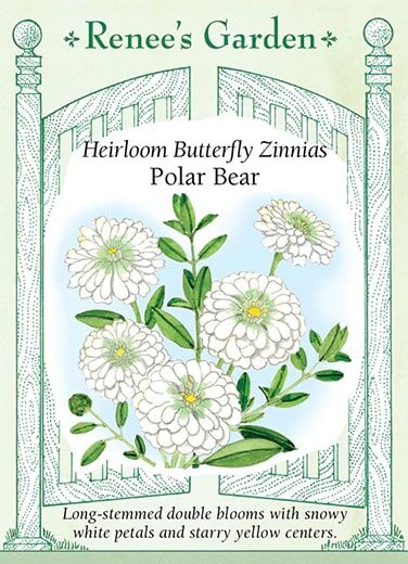 Renee's Garden Heirloom Butterfly Zinnias Polar Bear Seeds