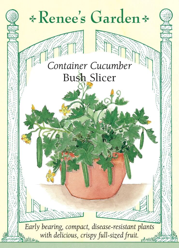 Renee's Garden Container Cucumber Bush Slicer Seeds - Thumbnail 5