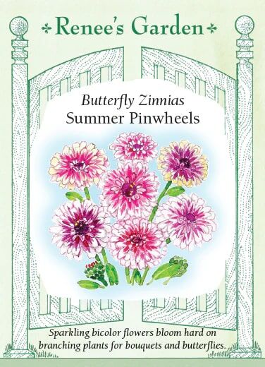 Renee's Garden Butterfly Zinnias Summer Pinwheels Seeds