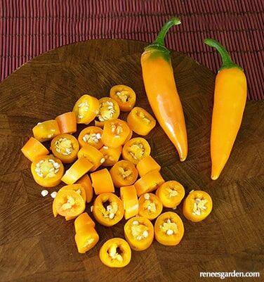 Renee's Garden Heirloom Chiles Bulgarian Carrot Seeds