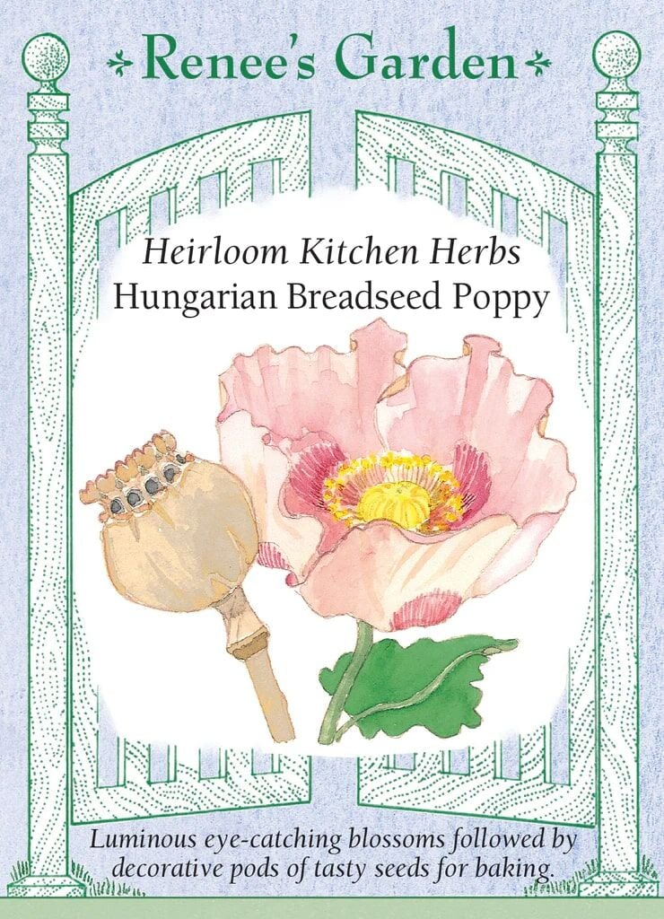 Hungarian Breadseed Poppy Seeds - Thumbnail 4