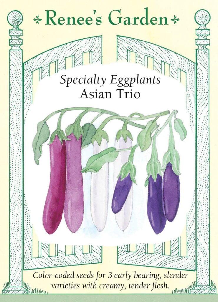 Asian Trio Eggplant Seeds - Thumbnail 3