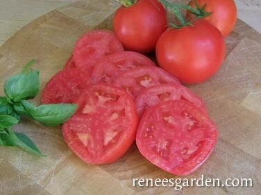Renee's Garden Top Flavor Tomato Crimson Carmello Seeds