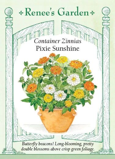 Renee's Garden Container Zinnias Pixie Sunshine Seeds