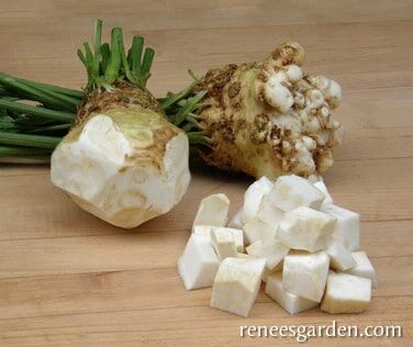Renee's Garden Celeriac/Celery Root Prinz Seeds