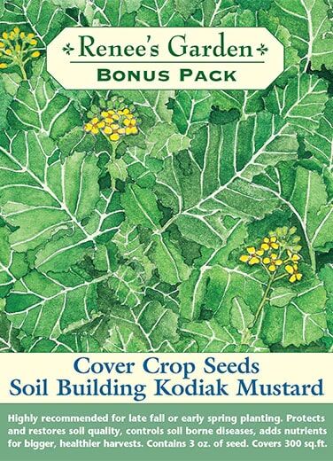 Renee's Garden Bonus Pack Soil Building Kodiak Mustard Cover Crop Seeds