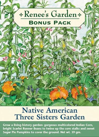 Renee's Garden Bonus Pack Native American Three Sisters Garden Seeds