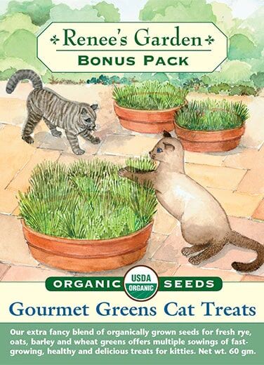 Renee's Garden Bonus Pack Gourmet Greens Cat Treats Seeds