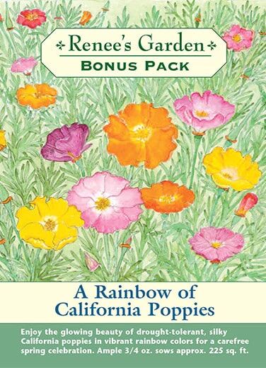Renee's Garden Bonus Pack A Rainbow of California Poppies Seeds