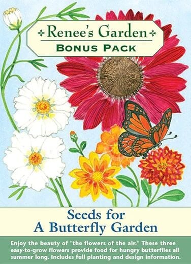 Renee's Garden Bonus Pack Seeds for A Butterfly Garden