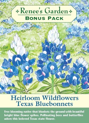 Renee's Garden Bonus Pack Texas Bluebonnets Seeds