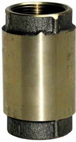 Genova Brass Check Valve - 2 in