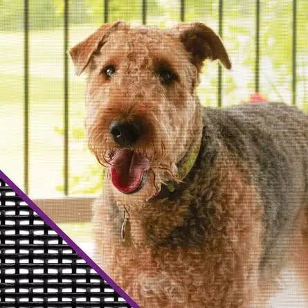 ADFORS Pet Resistant Insect Screen, 36-in X 84-In