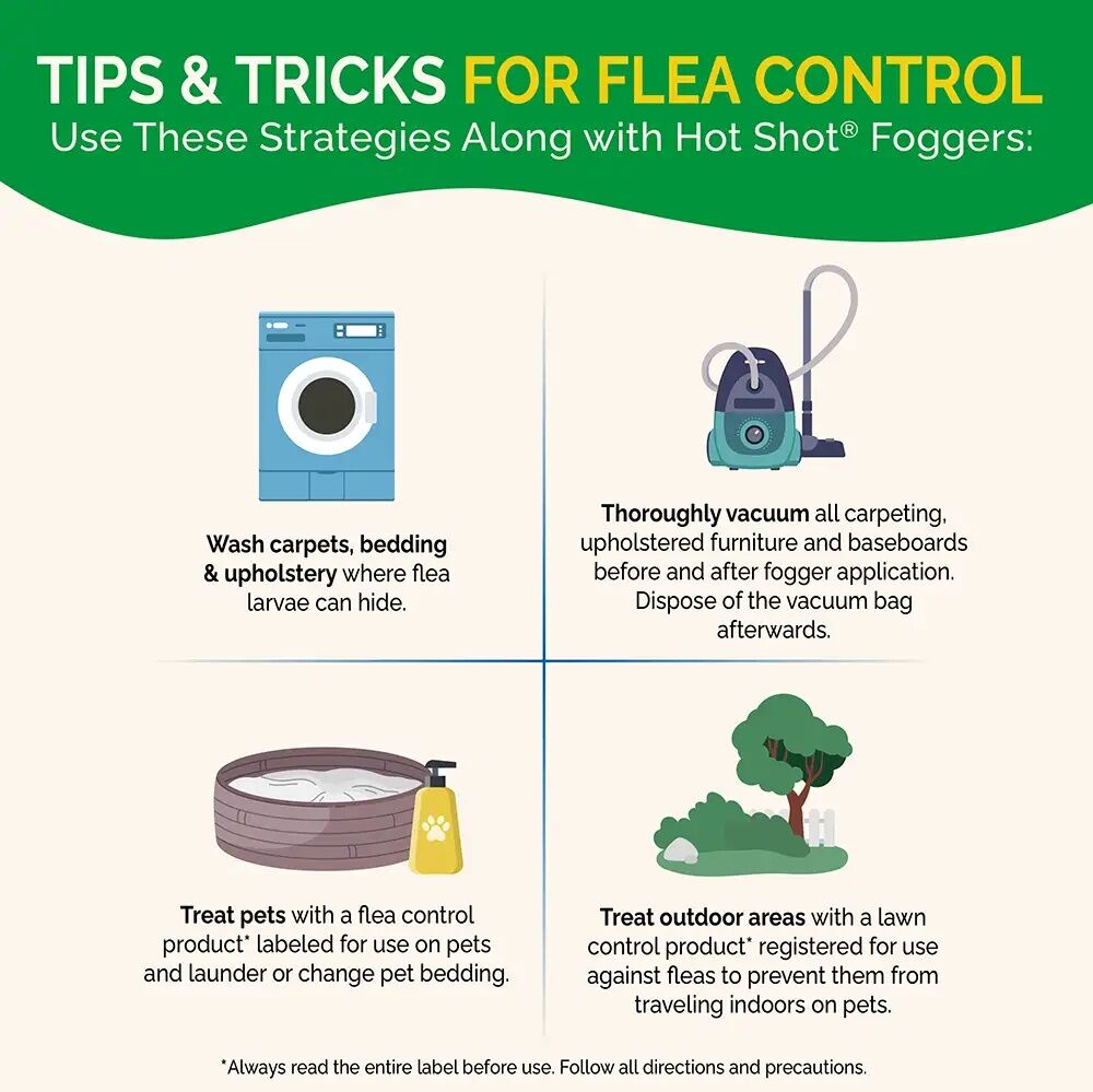 Hot Shot 3 Pack Fogger - 2 oz