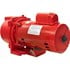 Red Lion Sprinkler Pump – 2 hp