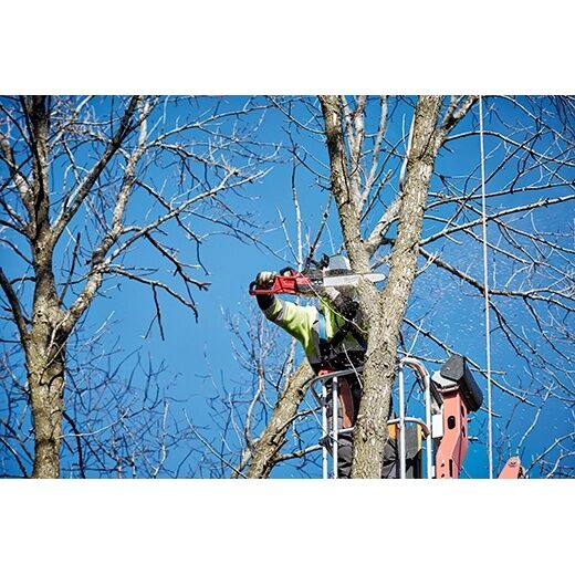 Milwaukee M18 FUEL 16-In Chainsaw (Tool Only)