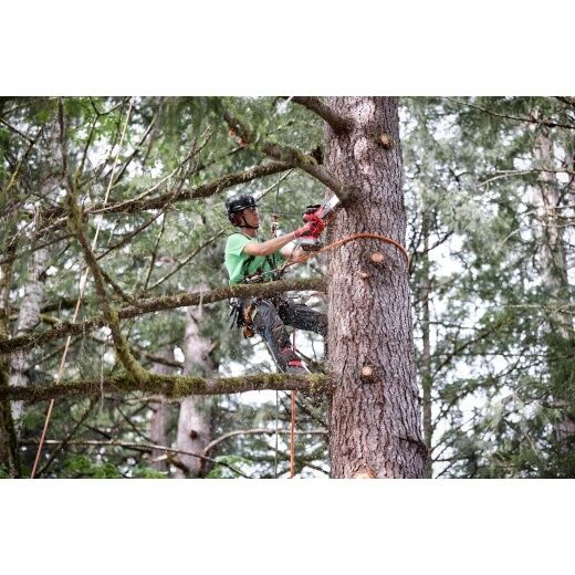 Milwaukee Chainsaw Bar, 3/8 in. Low Profile Pitch, .043 in. Gauge, 33-DL, 8 in.