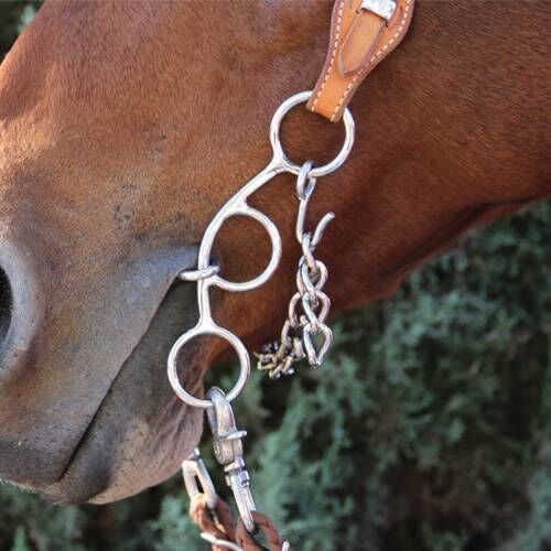 Professional's Choice Futurity Twisted Low Port Bit, 5.5-In