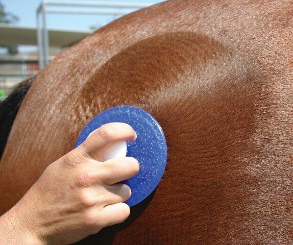 Professional's Choice Tail Tamer Circle Comfort Curry Assorted Colors