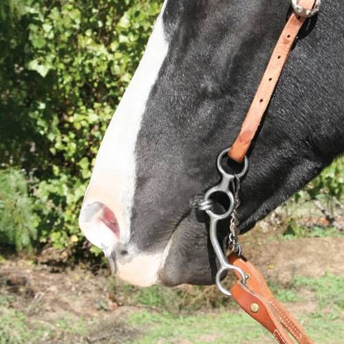 Professional's Choice Long Shank Smooth Snaffle Bit