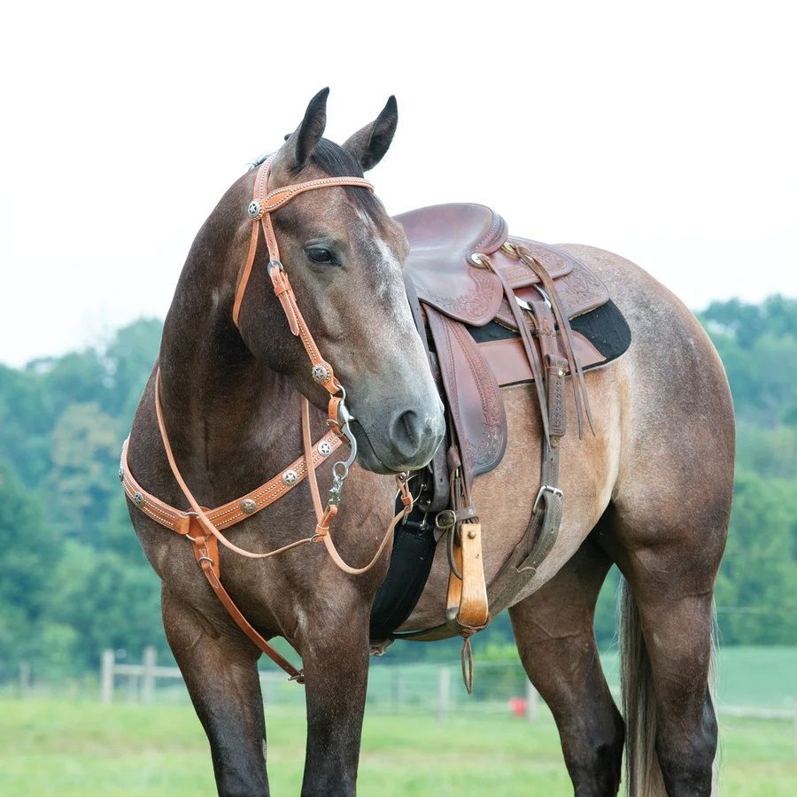 Weaver Leather Texas Star Russet Browband Headstall
