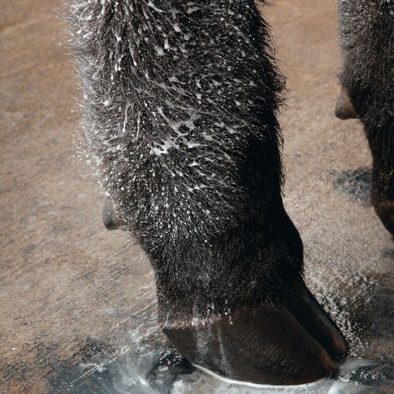 Weaver Livestock ProRefit Adhesive & Paint Remover, 14-Oz