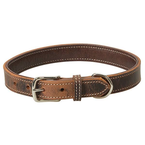 Weaver Leather Crazy Horse Dog Collar, 1-In x 21-In
