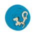 Weaver Leather Hurricane Blue Value Lead Rope with Brass Plated 225 Snap, 5/8-In x 8-Ft