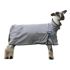 Weaver Livestock Medium Grey ProCool Sheep Blanket with Reflective Piping, Mesh Butt