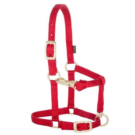Weaver Equine Miniature Horse Adjustable Chin & Throat Snap Halter Red Average Size