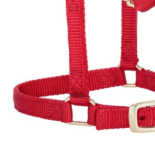Weaver Equine Miniature Horse Adjustable Chin & Throat Snap Halter Red Average Size