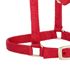 Weaver Equine Miniature Horse Adjustable Chin & Throat Snap Halter Red Average Size