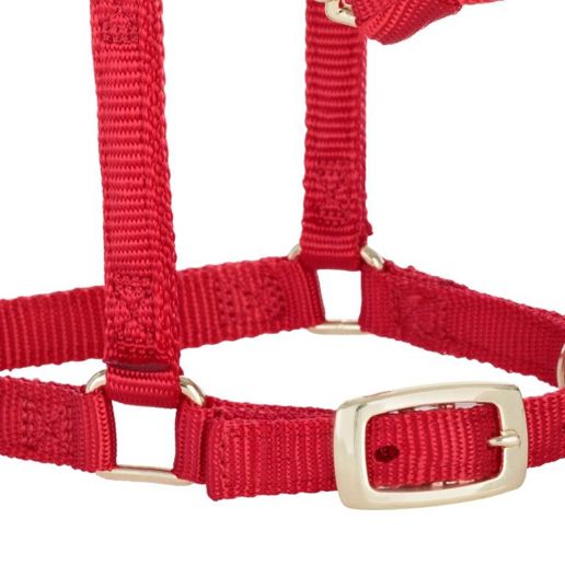 Weaver Equine Miniature Horse Adjustable Chin & Throat Snap Halter Red Average Size