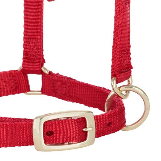 Weaver Equine Miniature Horse Adjustable Chin & Throat Snap Halter Red Average Size