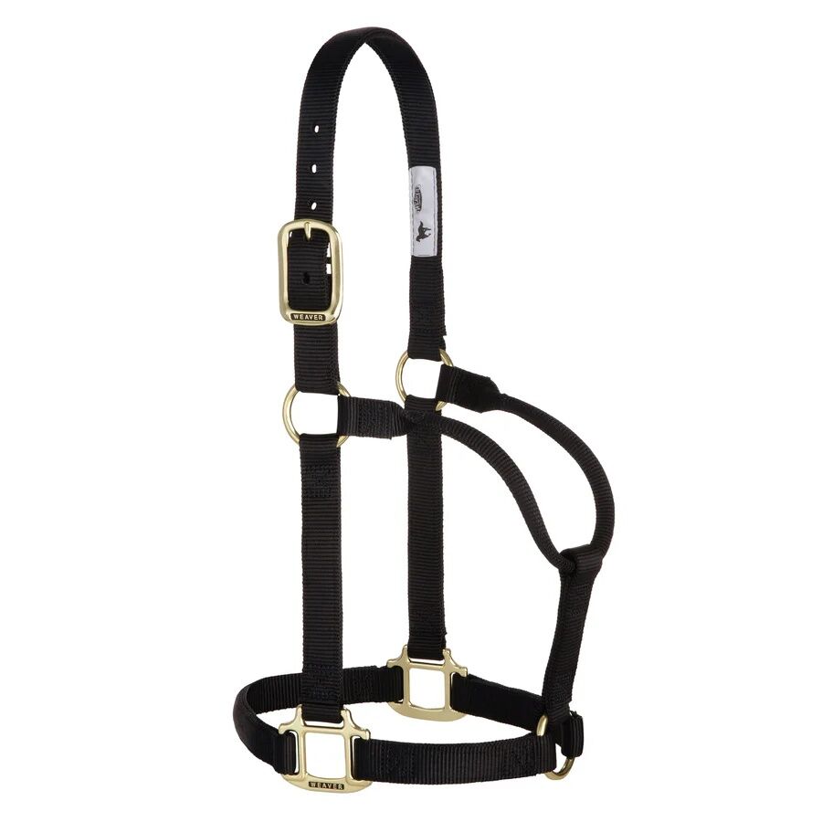 Weaver Equine Original Non-Adjustable Yearling Black Halter, 1-In