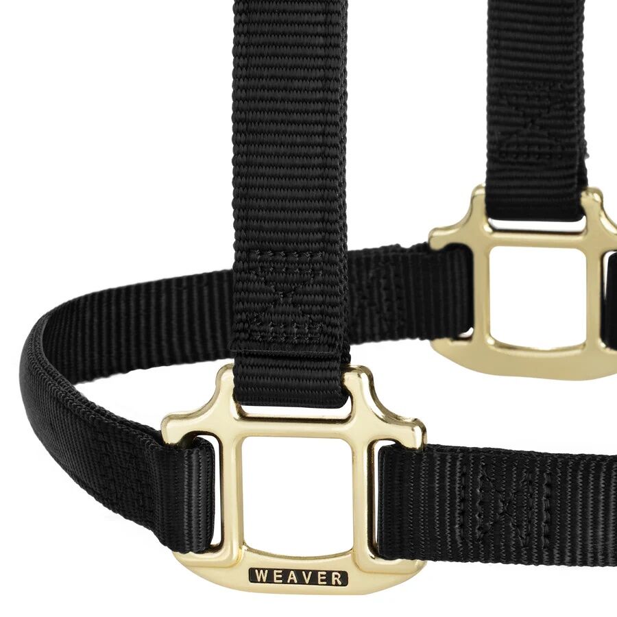 Weaver Equine Original Non-Adjustable Yearling Black Halter, 1-In