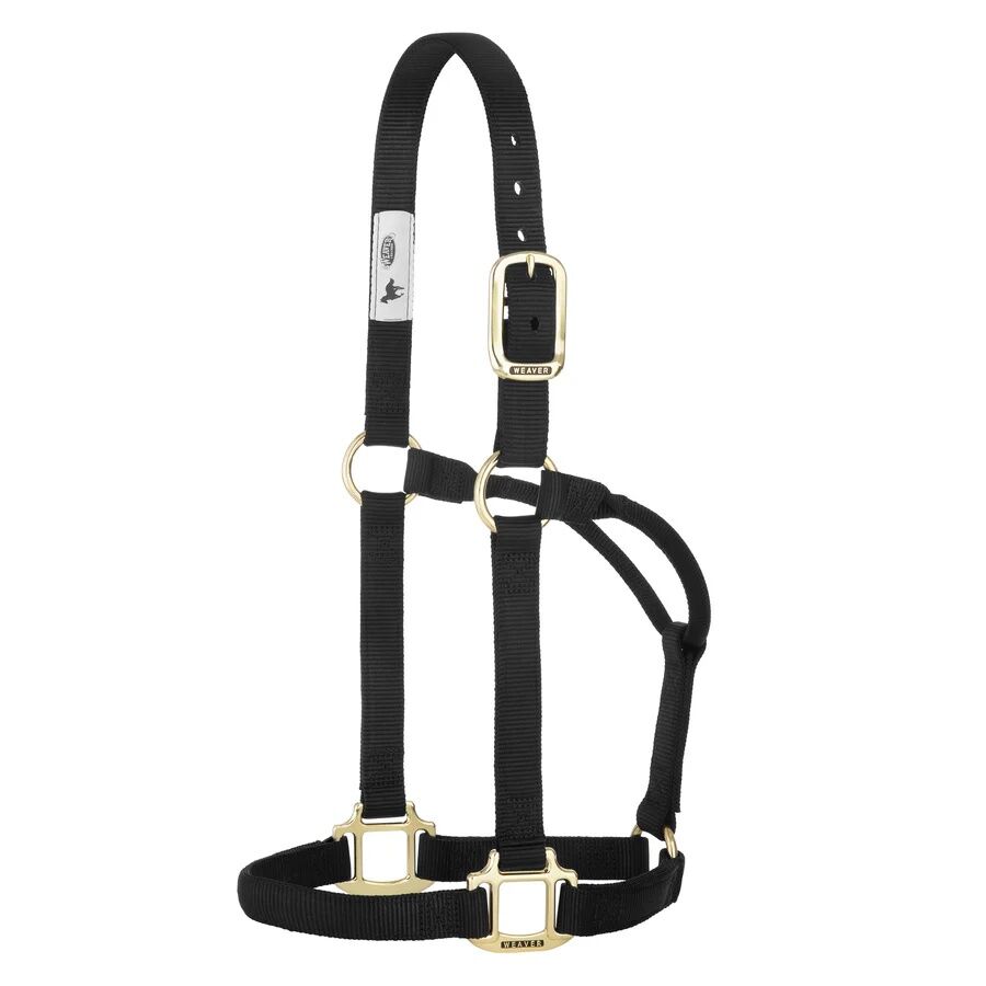 Weaver Equine Original Non-Adjustable Yearling Black Halter, 1-In