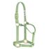 Weaver Leather Pistachio Green Average Original Non-Adjustable Halter, 1-In