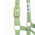 Weaver Leather Pistachio Green Average Original Non-Adjustable Halter, 1-In