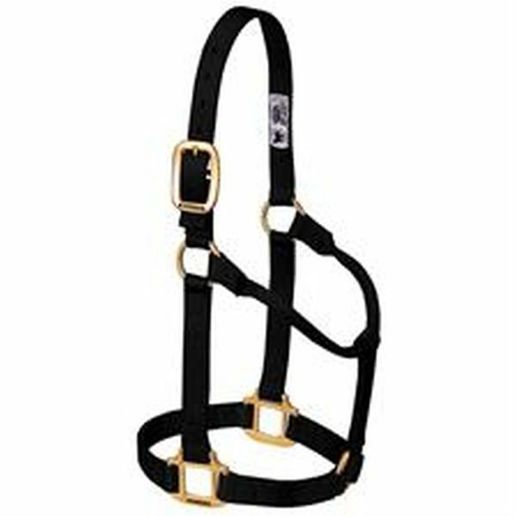 Weaver Leather Original Non-Adjustable Nylon Horse Halter - Black, Medium Horse