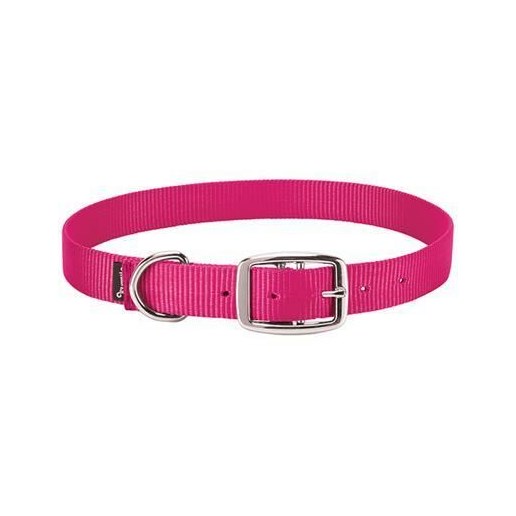 Weaver Leather Goat Collar - Hot Pink, Nylon, 3/4 in