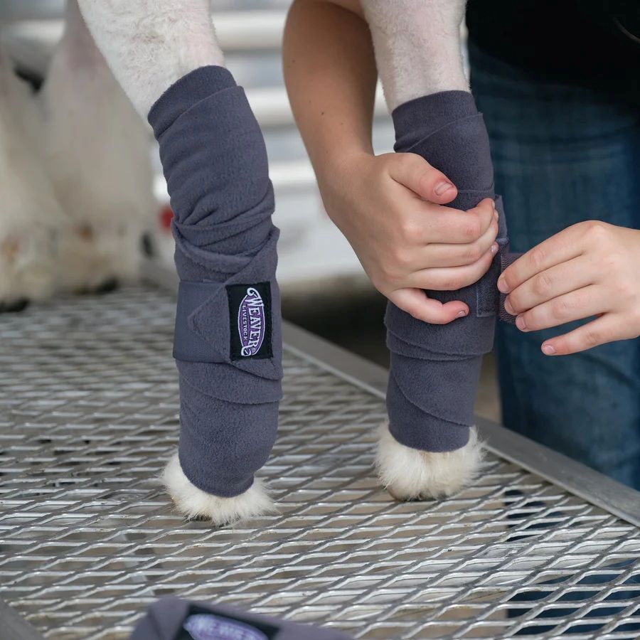 Weaver Leather Steel Sheep & Goat Fleece Leg Wraps, 4-In x 56-In, 4-Pk