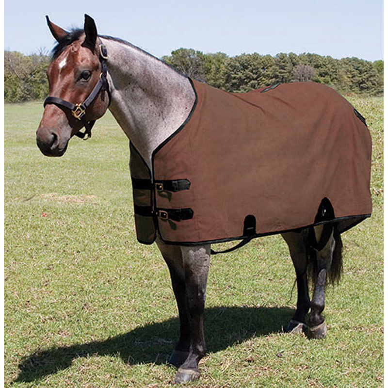 Mustang Manufacturing Brown Canvas Stable Blanket, 84-In