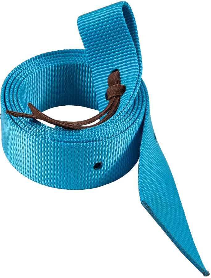 Mustang Manufacturing Turquoise Nylon Tie Strap, 6-Ft