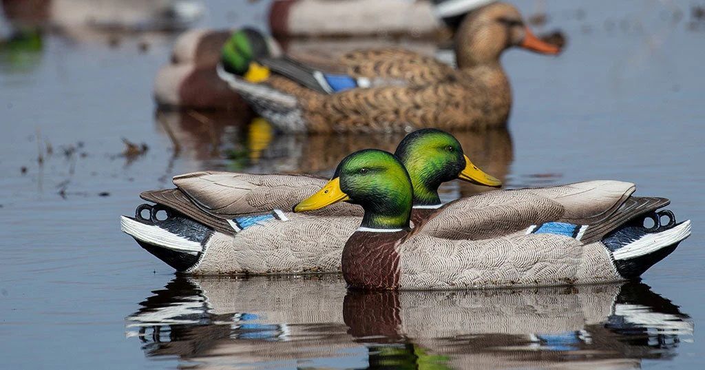 GHG Pro-Grade XD Series Mallard Harvester Pack Decoys, 6-Pk