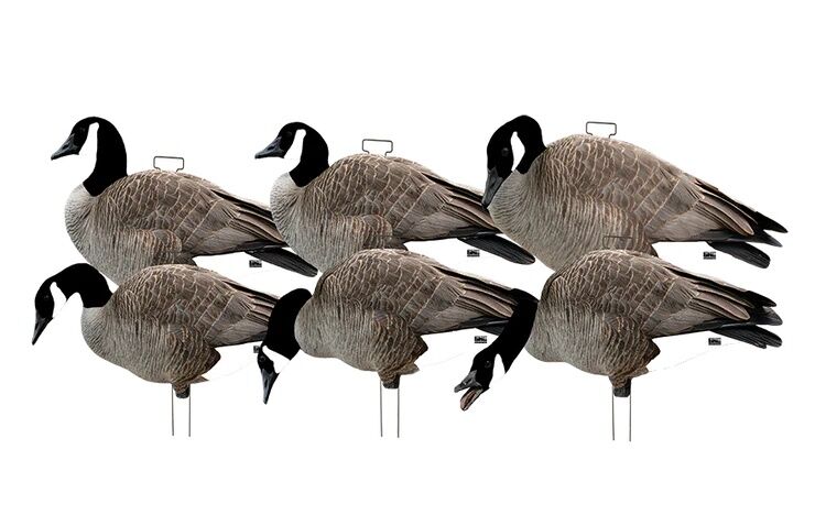 GHG Pro-Grade Silhouette Canada Goose Decoys, 12-Pk