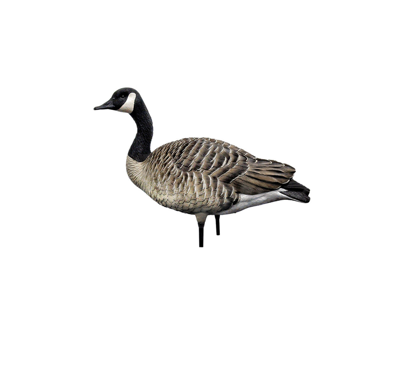 Avian-X AXP Honkers Full Body Decoys Fusion Pack, 6-Pk
