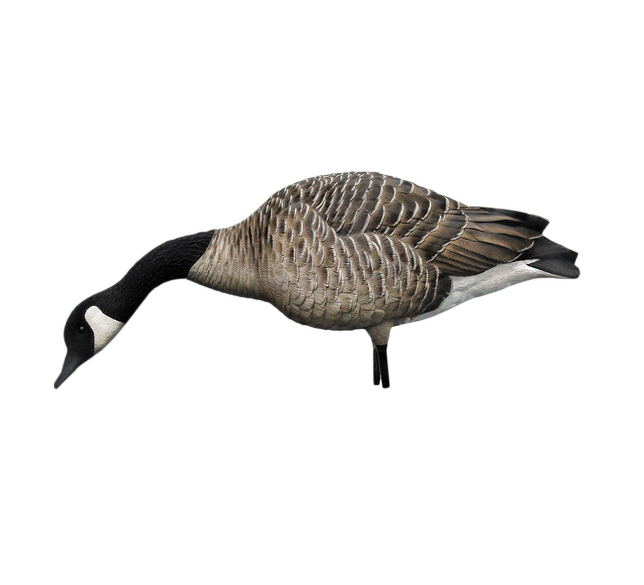 Avian-X AXP Honkers Full Body Decoys Fusion Pack, 6-Pk
