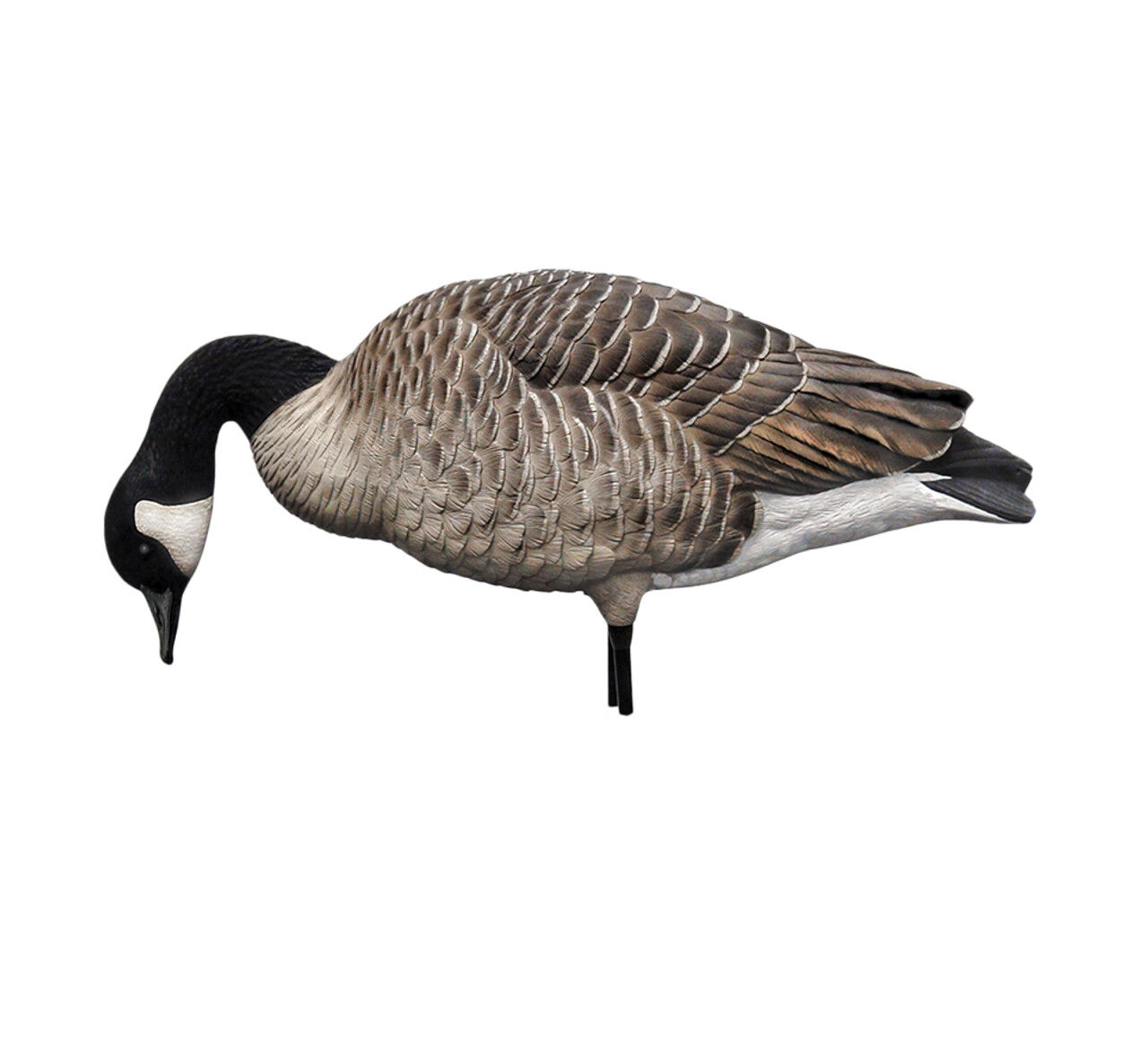 Avian-X AXP Honkers Full Body Decoys Fusion Pack, 6-Pk